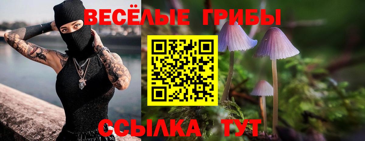 Галлюциногенные грибы мухоморы  где купить наркоту  Кувандык  Галлюциногенные грибы GOLDEN TEACHER  Вход с VPN 